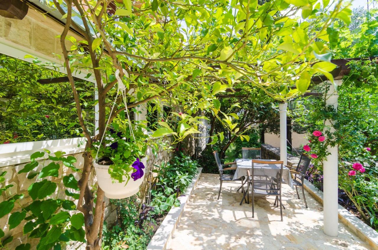 Camelia Luxury Apartments Dubrovník Exteriér fotografie